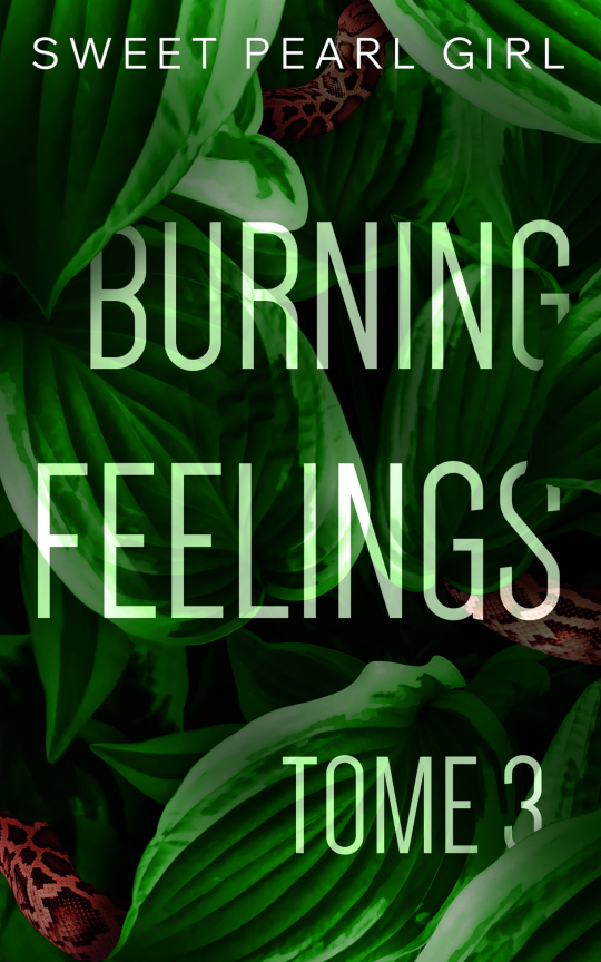 Burning Feelings (TOME 3)